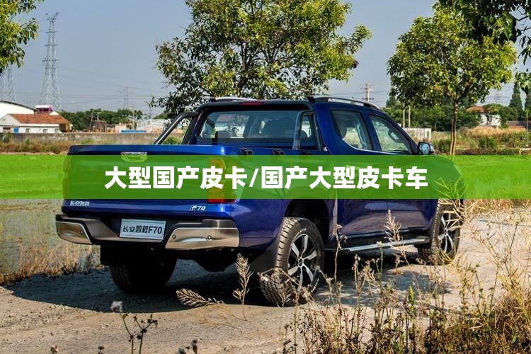大型国产皮卡/国产大型皮卡车 大型国产皮卡/国产大型皮卡车