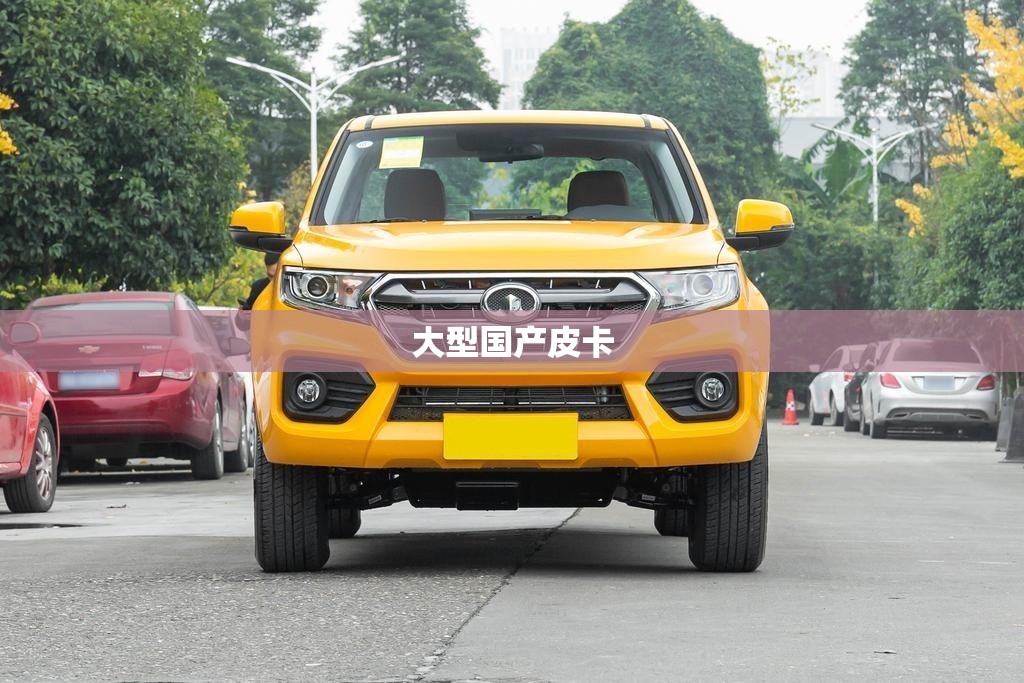 大型国产皮卡/国产大型皮卡车 大型国产皮卡/国产大型皮卡车