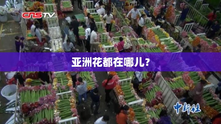 我想开个小型食品加工厂需要准备哪些？