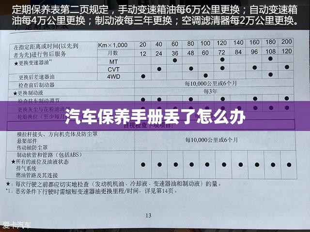 东奔西顾晋江(东奔西顾推文)