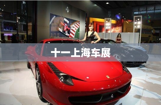 十一上海车展 十一上海车展