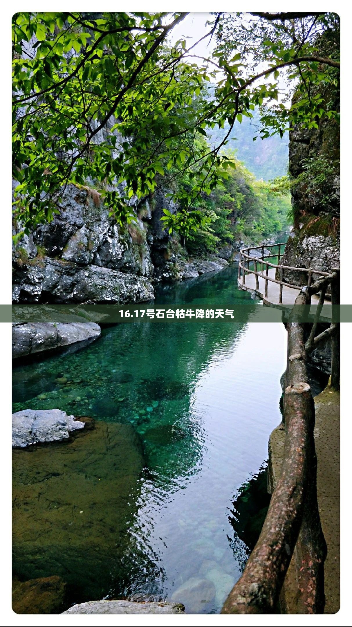 立式搅拌机(立式搅拌机结构图)