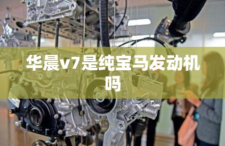 瑞麒X1和长安CX20有何优点和缺点？