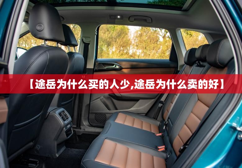 瑞麒X1和长安CX20有何优点和缺点？