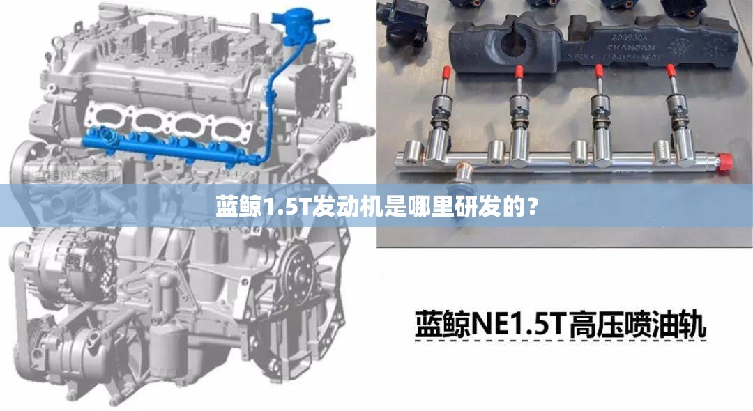 冀0的车牌是代表啥意思？