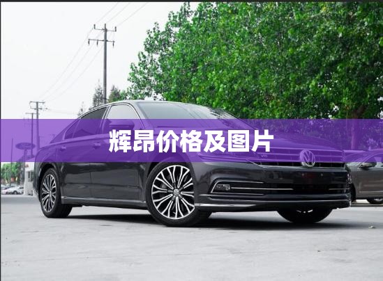辉昂费用及图片(辉昂详细报价) 辉昂费用及图片(辉昂详细报价)
