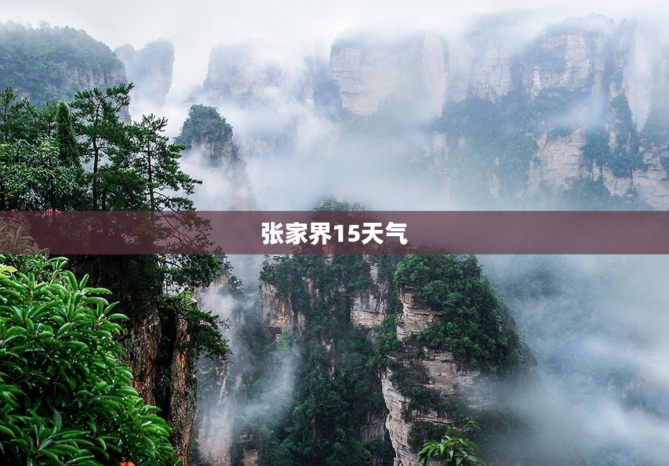 预警是什么意思_1