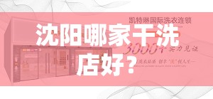 沈阳哪家干洗店好? 沈阳哪家干洗店好?