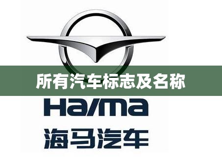 哈弗h8油耗太大了怎么办