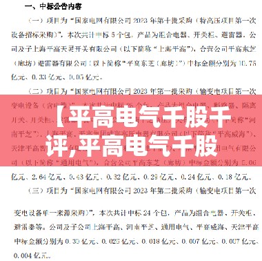 大型国产皮卡/国产大型皮卡车