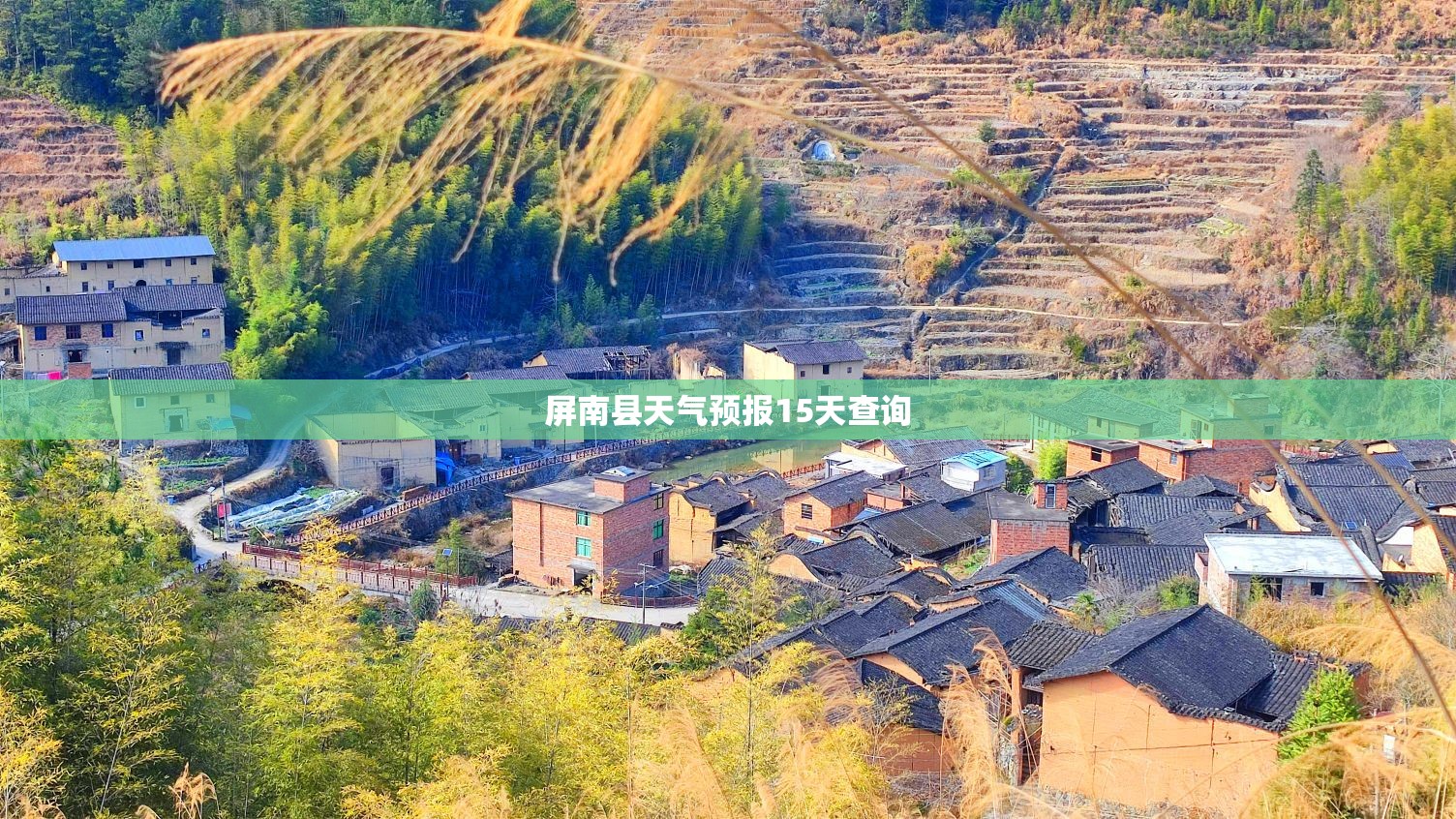 山东威海市气象台天气预报(搜索威海市天气预报)