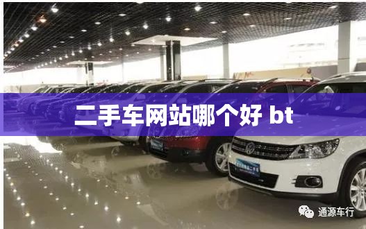 二手车网站哪个好 bt 二手车网站哪个好 bt