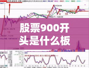 三全食品官方网站(三全食品官方网站电话)