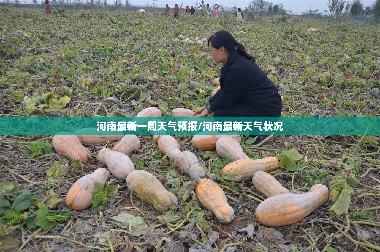 美的售后空调服务电话24小时