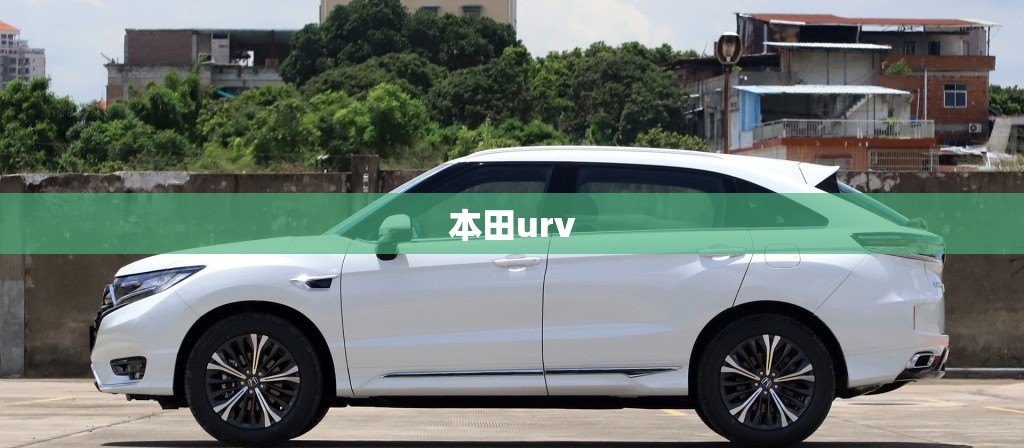 17号台风沙德尔路线因台风沙德尔关闭景点停运列车