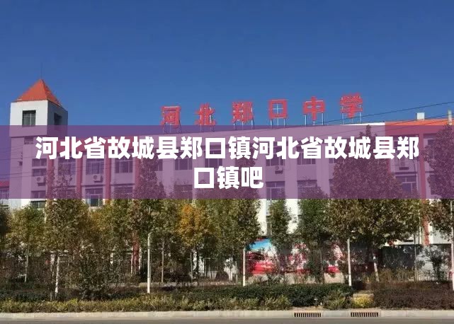河北省故城县郑口镇河北省故城县郑口镇吧 河北省故城县郑口镇河北省故城县郑口镇吧