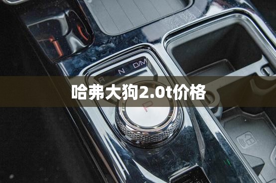 哈弗大狗2.0t价格 哈弗大狗2.0t价格