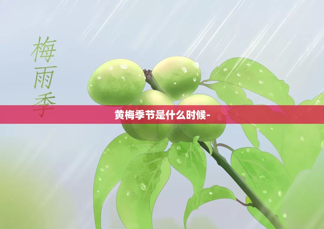 【室内挂衣架落地图片及费用,室内落地挂衣架子】