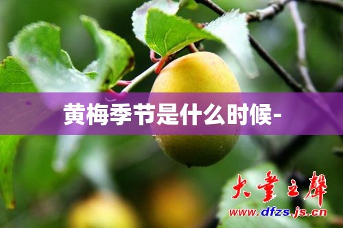 黄梅季节是什么时候- 黄梅季节是什么时候-