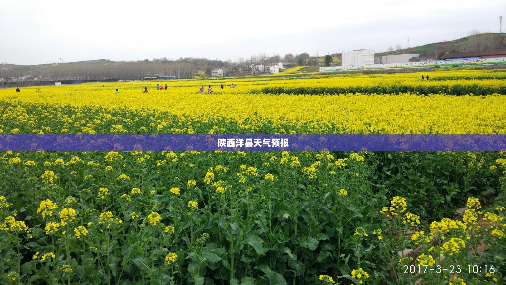 陕西洋县天气预报(陕西省洋县天气15天天气) 陕西洋县天气预报(陕西省洋县天气15天天气)