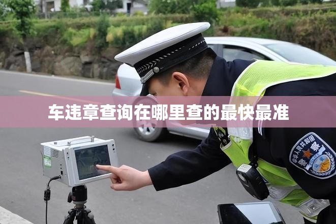车违章查询在哪里查的最快最准 车违章查询在哪里查的最快最准