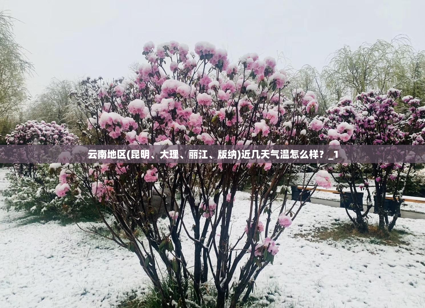几款重磅新车来袭有你喜欢的吗？