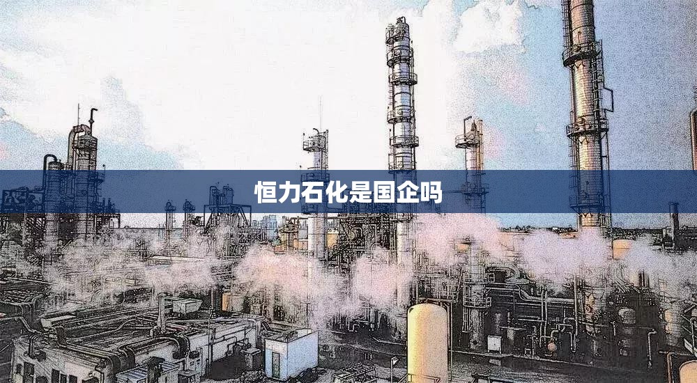 恒力石化是国企吗 恒力石化是国企吗