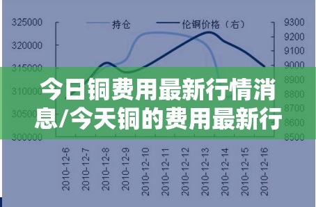 我后天想去南宁过年需一个旅游计划！