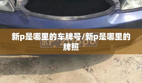 斯柯达野帝怎么样值得买吗(斯柯达野帝是什么级别的车)