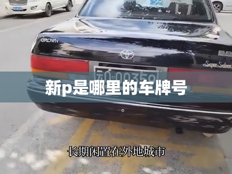 新p是哪里的车牌号/新p是哪里的牌照 新p是哪里的车牌号/新p是哪里的牌照