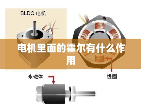 电机里面的霍尔有什么作用 电机里面的霍尔有什么作用
