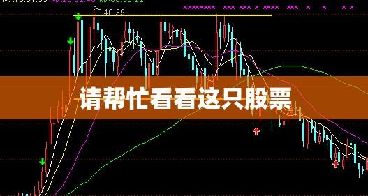 宝马的原产地是哪？