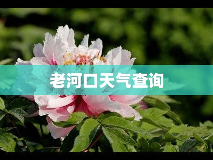 高尔夫嘉旅要停产了还买吗/高尔夫嘉旅停产了还能买吗