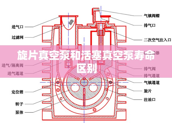 旋片真空泵和活塞真空泵寿命区别