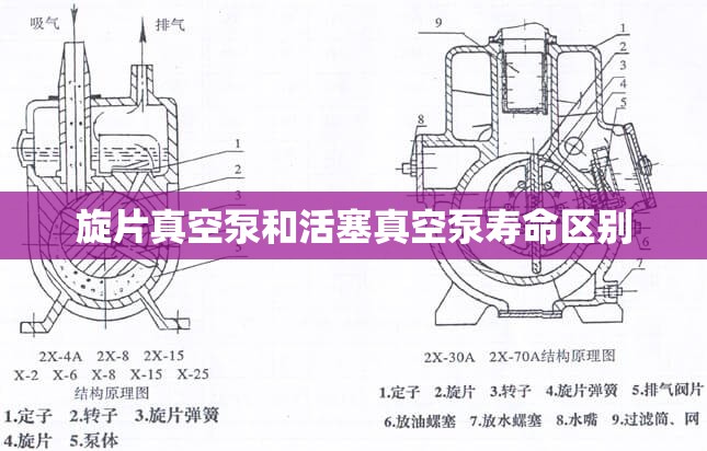 旋片真空泵和活塞真空泵寿命区别