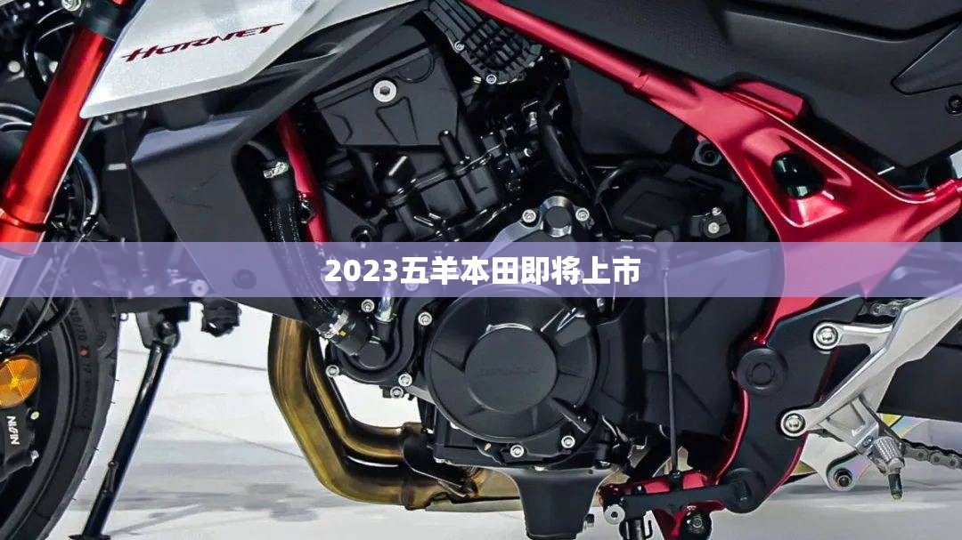 2023五羊本田即将上市/五羊本田推出的新车什么时候上市