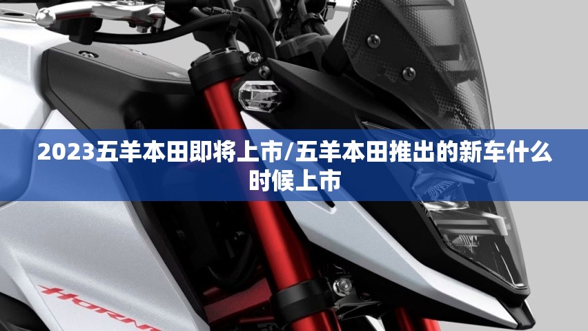 一汽大众奥迪a4