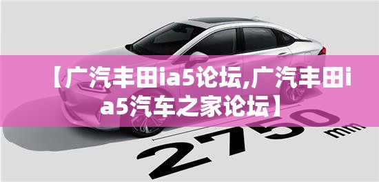 在县城里面开什么店好-