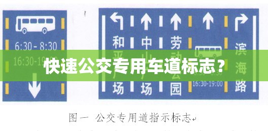 快速公交专用车道标志? 快速公交专用车道标志?