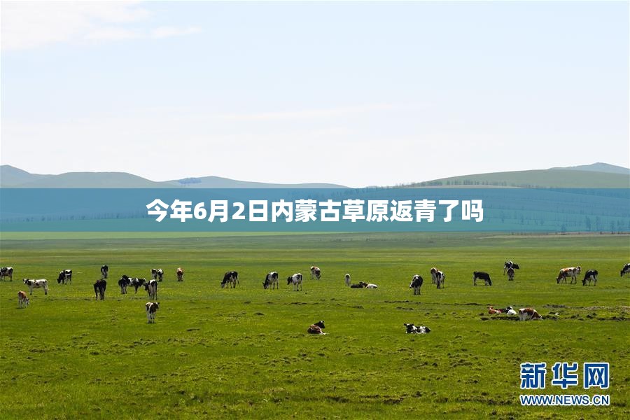 刹车油更换周期/刹车油更换周期一般是多久
