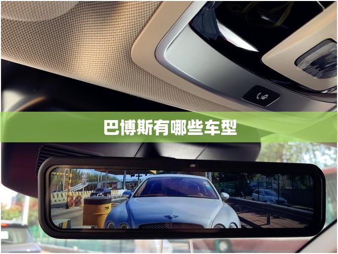 巴博斯有哪些车型(巴博斯现车)