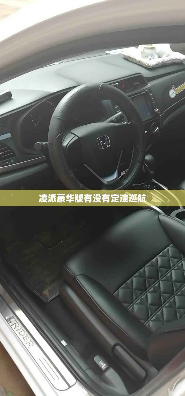 凌派豪华版有没有定速巡航