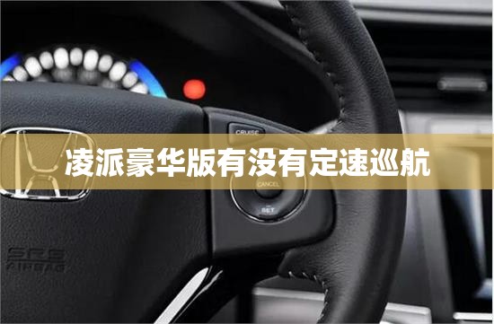 凌派豪华版有没有定速巡航