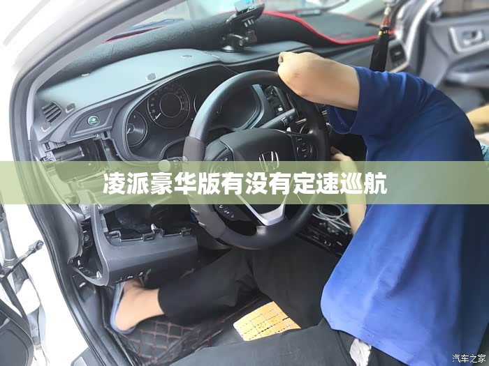 凌派豪华版有没有定速巡航
