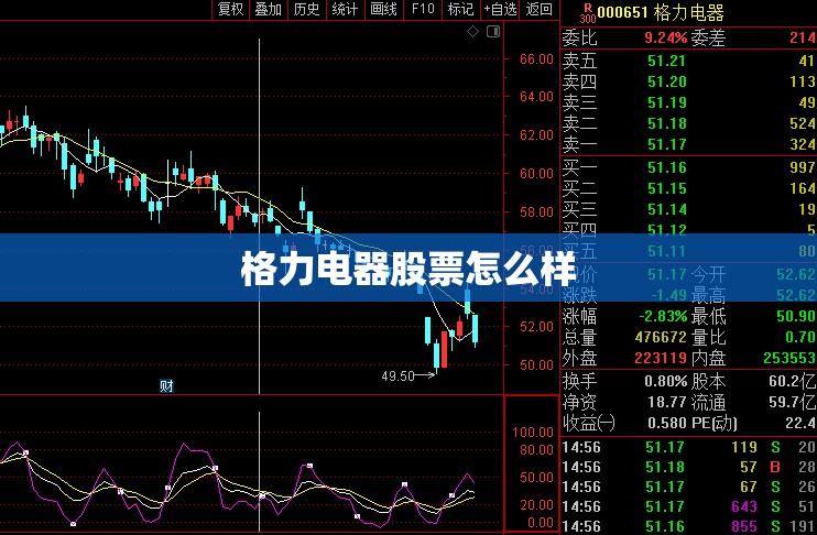 【格力电器股票怎么样,今天格力电器股票怎么了】 【格力电器股票怎么样,今天格力电器股票怎么了】