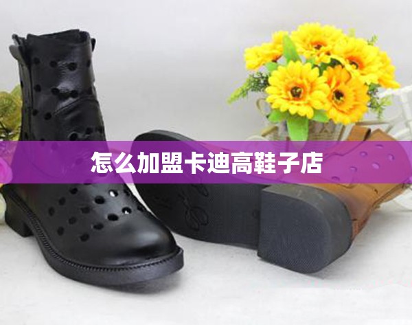怎么加盟卡迪高鞋子店 怎么加盟卡迪高鞋子店