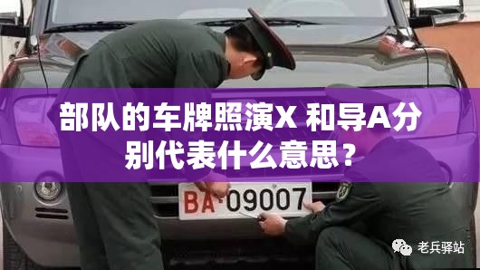 部队的车牌照演X 和导A分别代表什么意思？