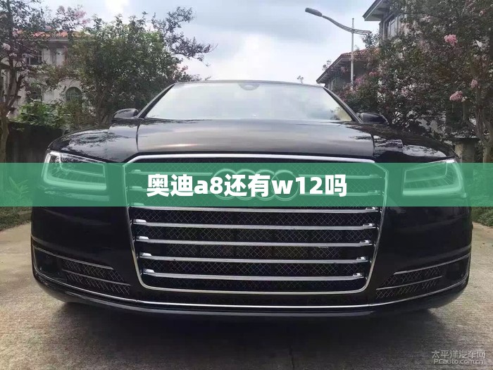 奥迪a8还有w12吗 奥迪a8还有w12吗