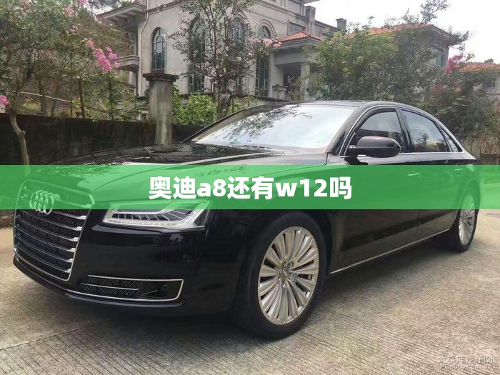 奥迪a8还有w12吗 奥迪a8还有w12吗