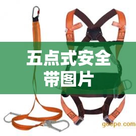 【五点式安全带图片,三点式安全带和五点式安全带图片】 【五点式安全带图片,三点式安全带和五点式安全带图片】